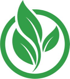 digestive health supplement website